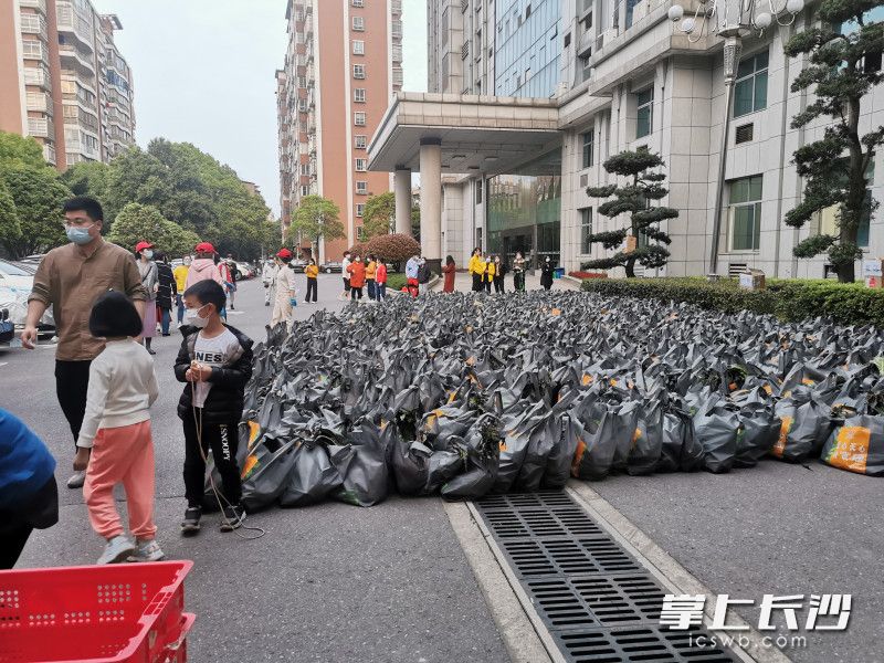 780份蔬菜包送到了湘林小區(qū)院內(nèi)。長(zhǎng)沙晚報(bào)實(shí)習(xí)生 羅楊 攝